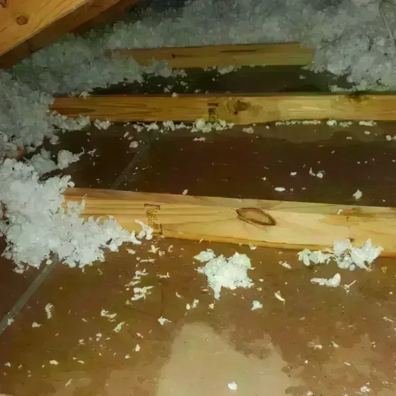 Attic Water Damage in Carthage, NC