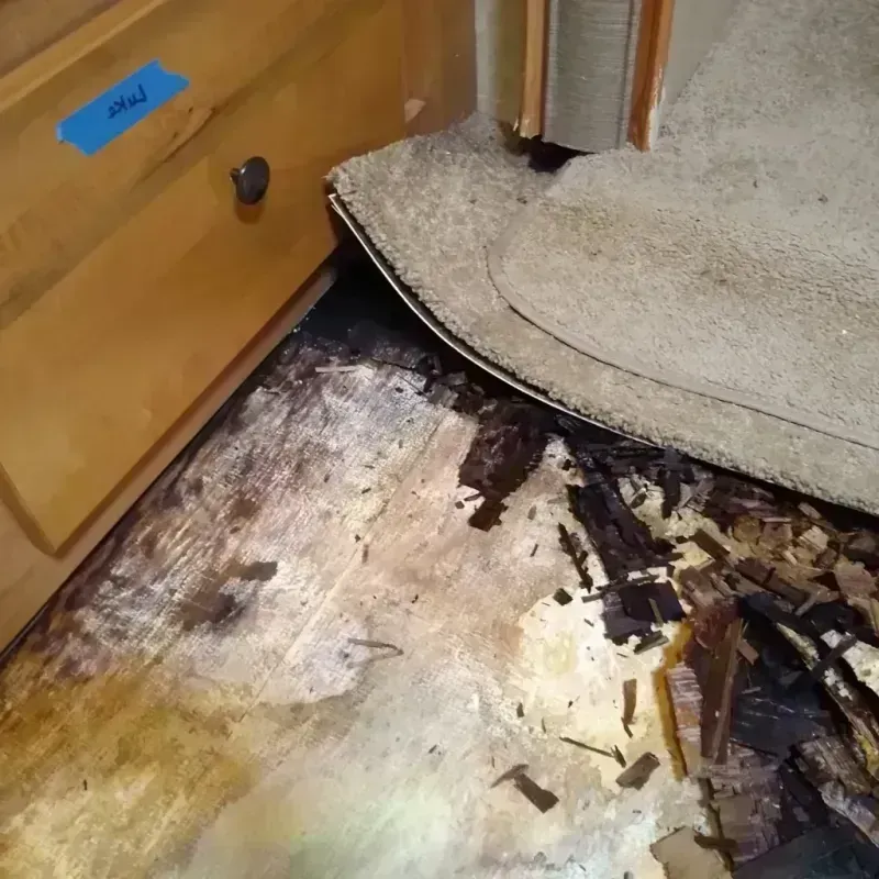 Wood Floor Water Damage in Carthage, NC